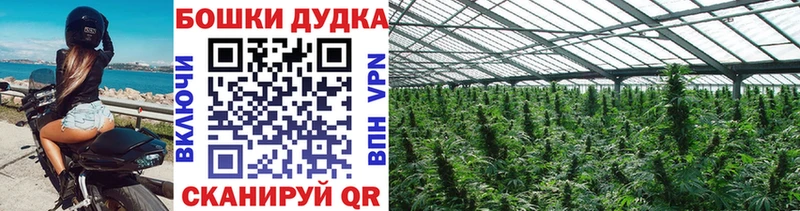 Каннабис VHQ  blacksprut рабочий сайт  Окуловка 